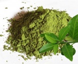 Зеленого чая 60% сухой пудра. 10 гр. 